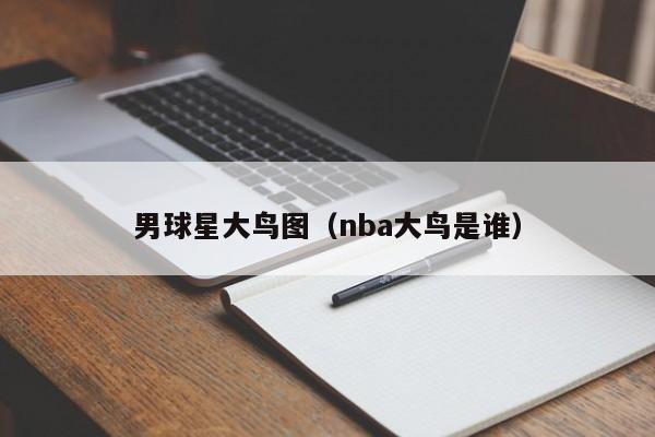 男球星大鸟图(nba大鸟是谁)