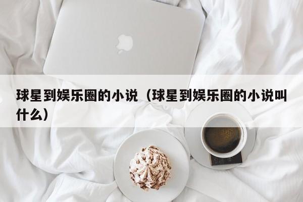 球星到娱乐圈的小说(球星到娱乐圈的小说叫什么)